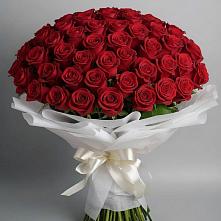 Букет 101 Красная роза Блэк Мэджик в Елани