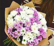 Букет цветов из:  Хризантемы #REPLACE_PRED# Елани