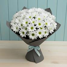 Букет цветов из:  Хризантемы #REPLACE_PRED# Елани