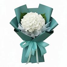 Букет цветов из:  Гортензия в Елани